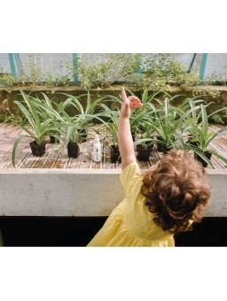 ANTI-MOSQUITOS BEBÉ ZETA - Inicio