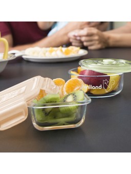 Set 4 naturSquare Miniland - Inicio