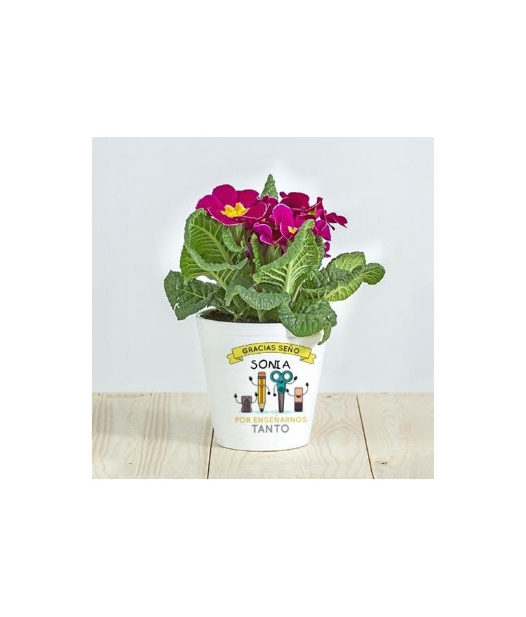 Maceta enseñarnos tanto - Personalizados