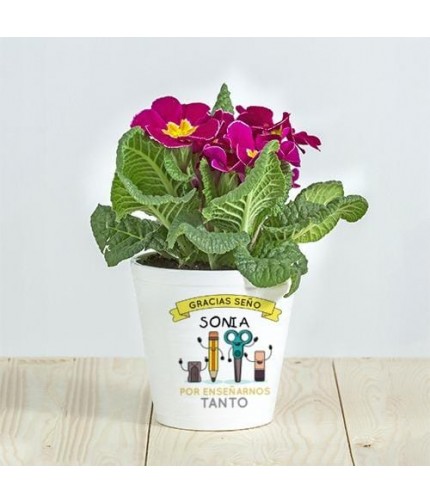 Maceta enseñarnos tanto - Personalizados