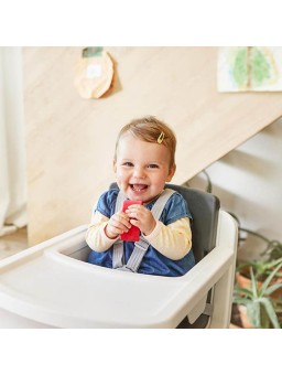 Trona evolutiva ZAAK NUNA - Inicio