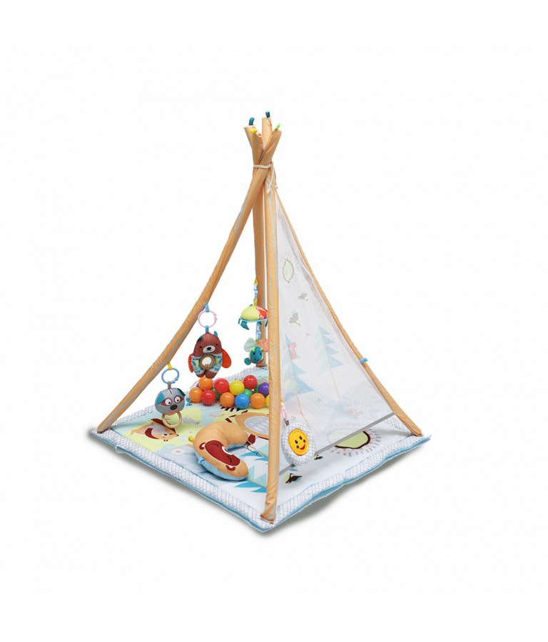 Gimnasio actividades TIPI - Inicio