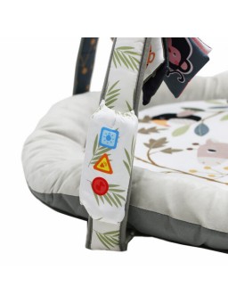 Gimnasio para bebés - Inicio