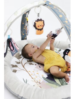 Gimnasio para bebés - Inicio